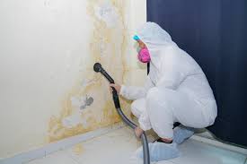 Why You Should Choose Our Mold Remediation Services in Placeholder9